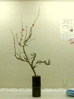 20120216 一敬さんのボケ.jpg