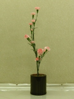 一由さん カーネーション.jpg