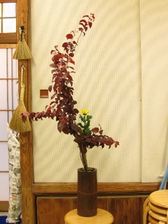 一芳さん 紅すもも・菊
