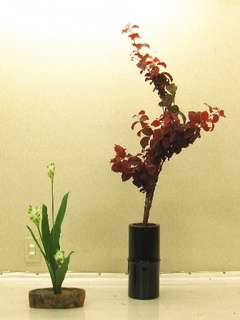 一史さん 紅すもも・クルクマ