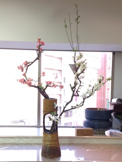 20150312 小林 木瓜.jpg
