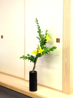 20150521 土居 雷電・すかし百合.jpg