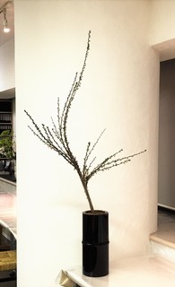 20160219 一竹さん 林鐘梅.jpg