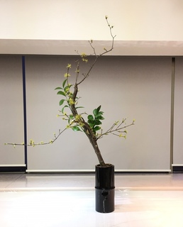 残り枝にて 一瑞さん.jpg