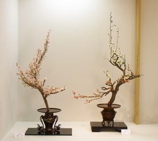 3次展43番席.jpg